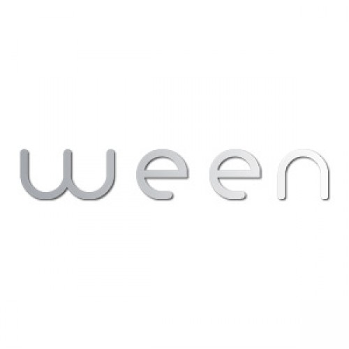 Formation wordpress aide Ween